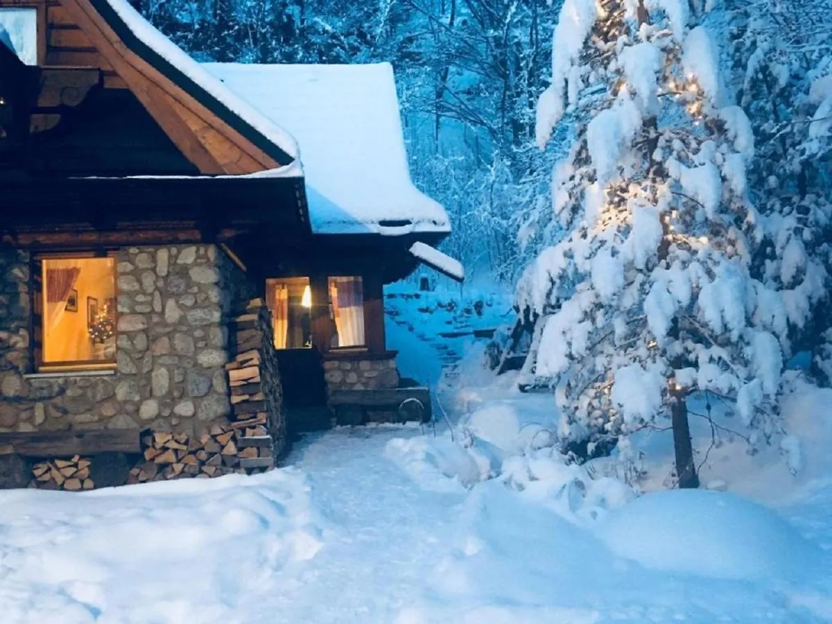 Apartament Jaworzyna Zakopane Polska