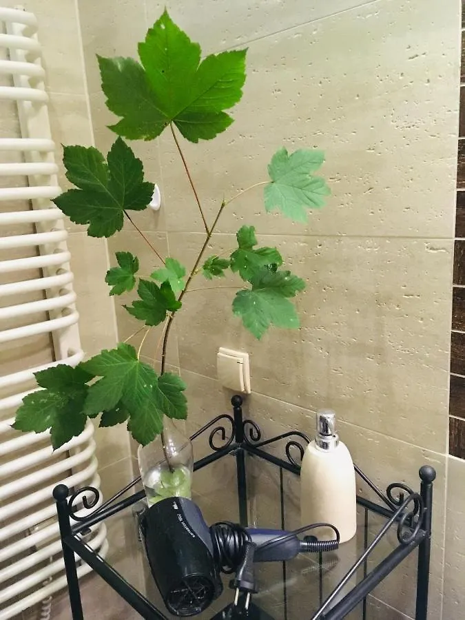 公寓 Apartament Jaworzyna 扎科帕内 波兰